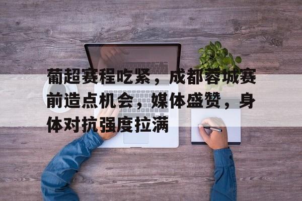葡超赛程吃紧，成都蓉城赛前造点机会，媒体盛赞，身体对抗强度拉满的简单介绍-AYX Games